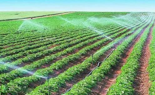 操女人B农田高 效节水灌溉